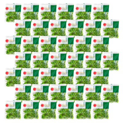 【定期購入】山形県産ベビーリーフ（有機JAS認証）個包装 42袋