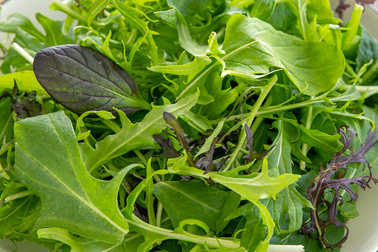 素材本来の味が力強い「ベビーリーフ」