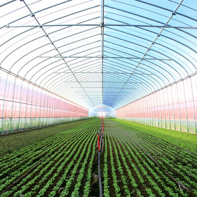 持続可能な農業を目指す