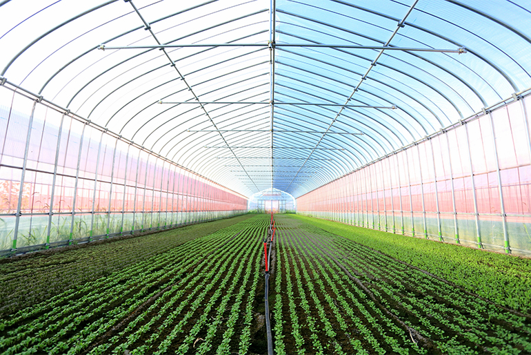 厳しい基準をクリアした有機JAS認証