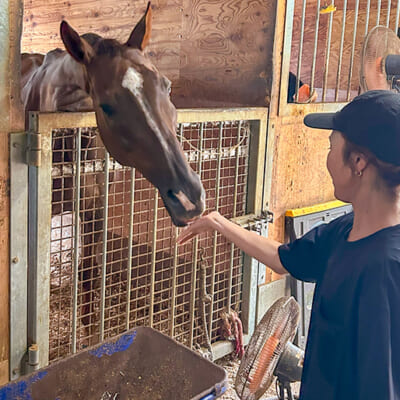 乗馬クラブと提携した「循環型農業」に取り組む