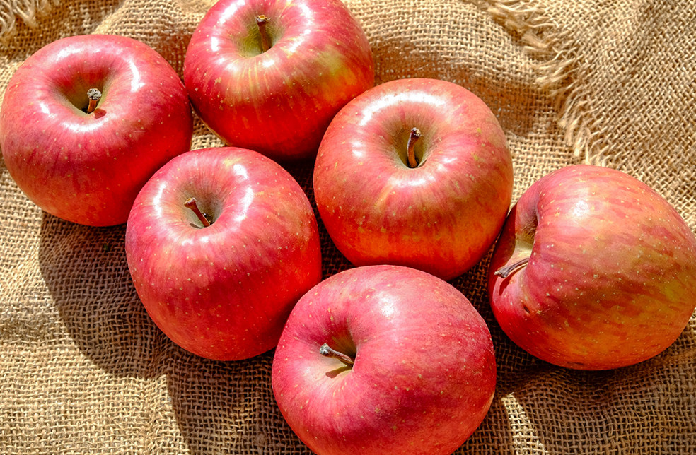 りんご　プロフ必読₍ᐢ..ᐢ₎マントルピース Fukushima Seasonal Stories: Apples– Prized Fruits Grown Through