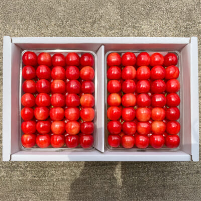 【贈答用】山形県産さくらんぼ 佐藤錦 2Lサイズ 手詰め 1kg