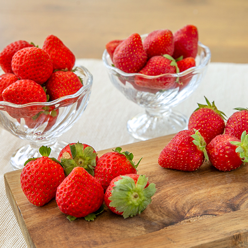 山形直送計画】山形県産いちご – 苺屋佐藤