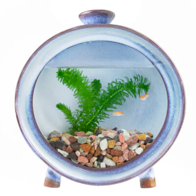 円型式水箱「TANK 漣」中サイズ（照明付き）