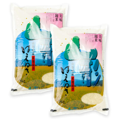 山形県産はえぬき 精米10kg
