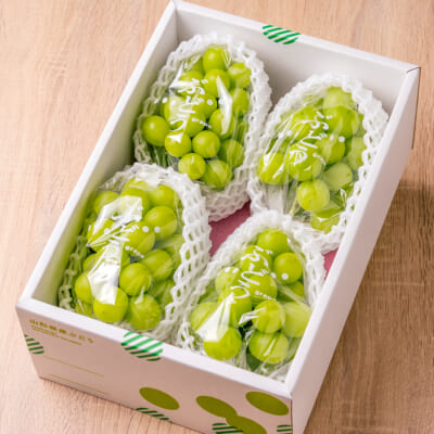 【家庭用】シャインマスカット 約1.5kg