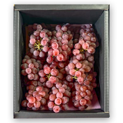 【家庭用】山形県産 種なしぶどう デラウエア 約1kg