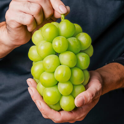 夏のご褒美にぴったりの「シャインマスカット」