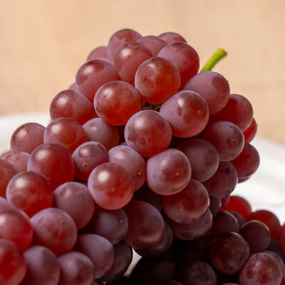 次々と手が伸びるおいしさ