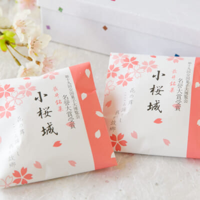 桜舞う、風情漂う装い