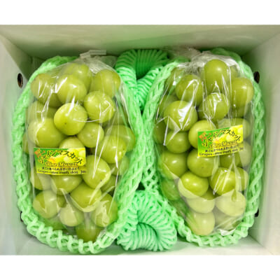 【贈答用】山形県産シャインマスカット 1.5kg