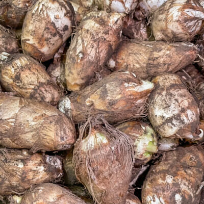 【訳あり】山形県産 里芋（自然栽培・土付き）2kg