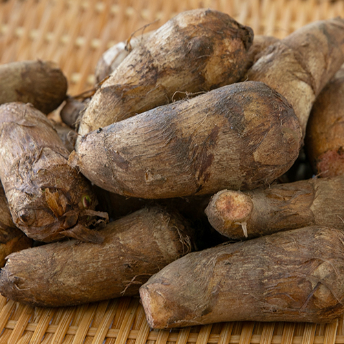 山形直送計画】山形県産 里芋（自然栽培・土付き） – さとう農園