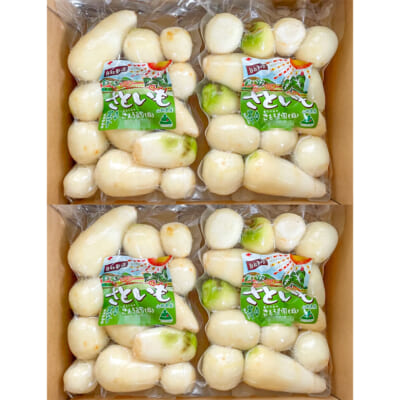 山形県産 洗い里芋（自然栽培）2kg