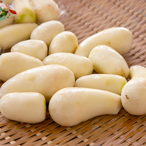 山形直送計画】山形県産 洗い里芋（自然栽培） – さとう農園