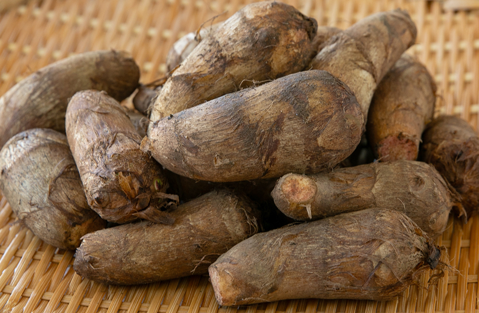 山形直送計画】山形県産 里芋（自然栽培・土付き） – さとう農園