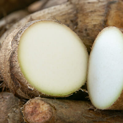 きめの細かさが魅力