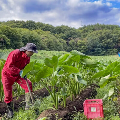 自然との共生を目指す