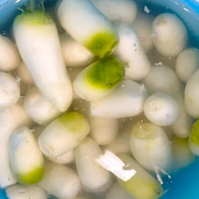 真っ白できめ細かな肌質!