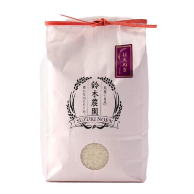 山形県産はえぬき 精米10kg