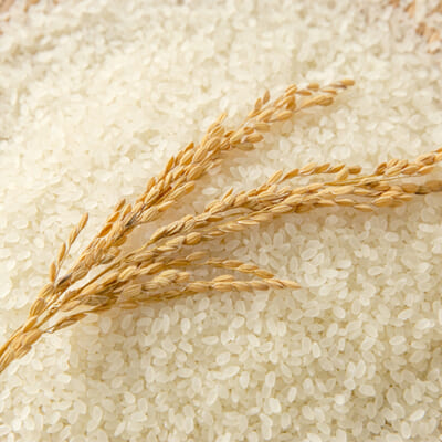 食べごたえのある大粒を厳選