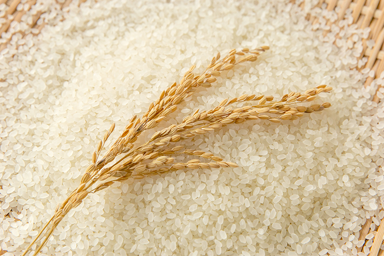 炊き上がりのツヤと、上品な甘みが自慢