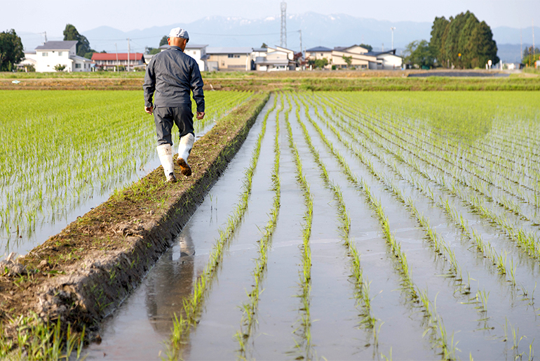 四季の移り変わりに寄り添いながら、丁寧に育てる