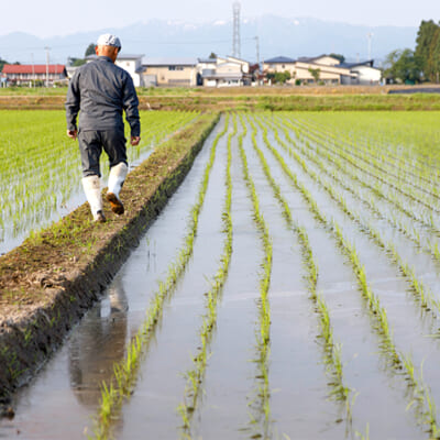 四季の移り変わりに寄り添いながら、丁寧に育てる