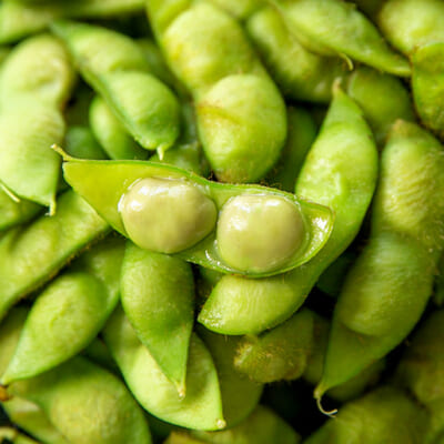 食べごたえのある大粒を厳選