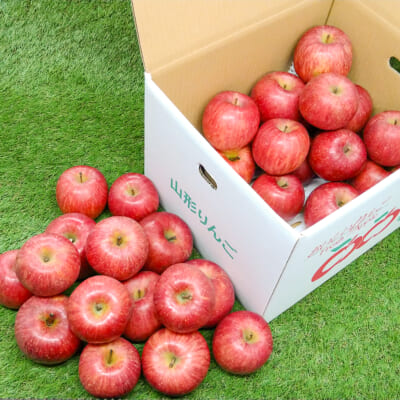 山形県産 雪ん子りんご ふじ 10kg