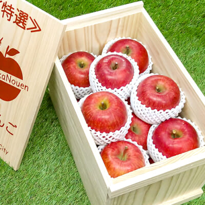 予約注文：山形県産りんご（贈答用・家庭用）