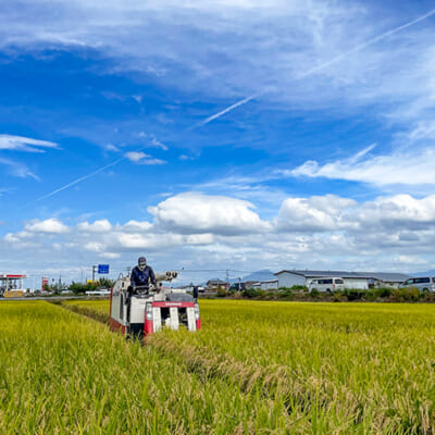 自然に寄り添った、誠実な米作り