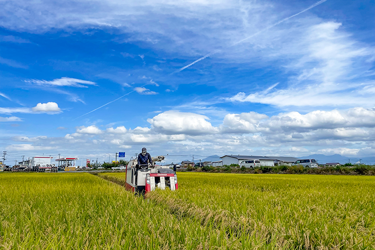 自然に寄り添った、誠実な米作り