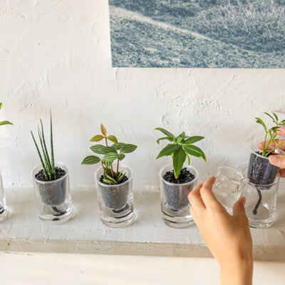 土を使わない「炭のグリーン」