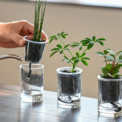 空間がすっと洗練されます！