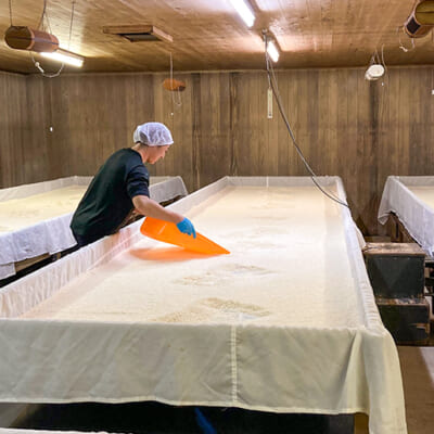 徹底した温度管理で、良質な米麹に育てる