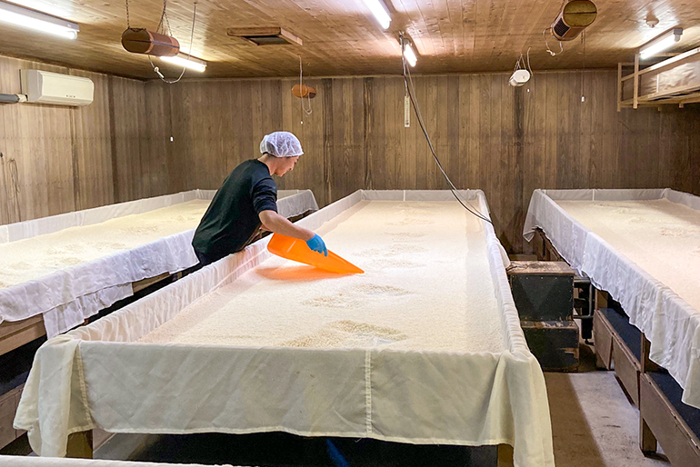 徹底した温度管理で、良質な米麹に育てる