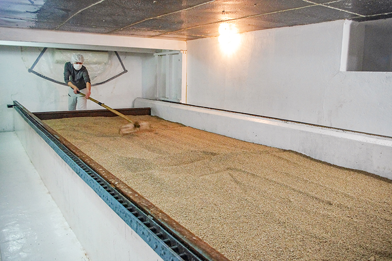 醤油造りに欠かせない麹は、手作業で丁寧に育成