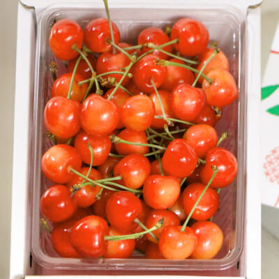 【贈答用】山形県産さくらんぼ 佐藤錦 500g