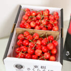 山形県産さくらんぼ（贈答用・家庭用）