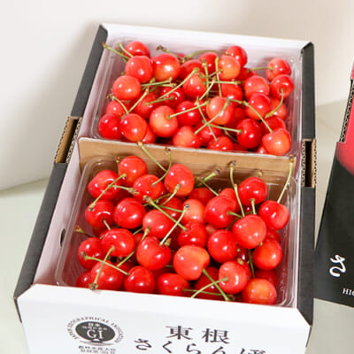 予約注文:山形県産さくらんぼ(贈答用・家庭用)
