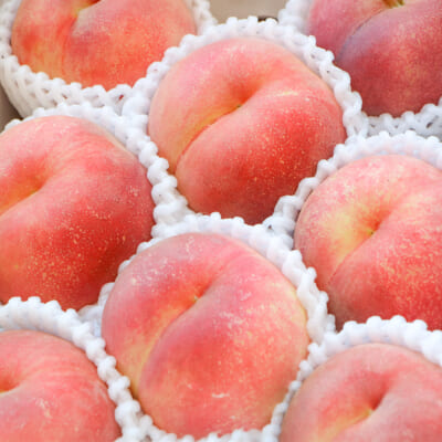 【贈答用】山形県産 桃 2kg