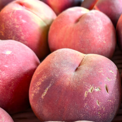 【家庭用】山形県産 桃 3kg