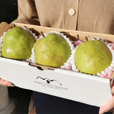 【贈答用】山形県産 ラ・フランス 3玉（化粧箱入）