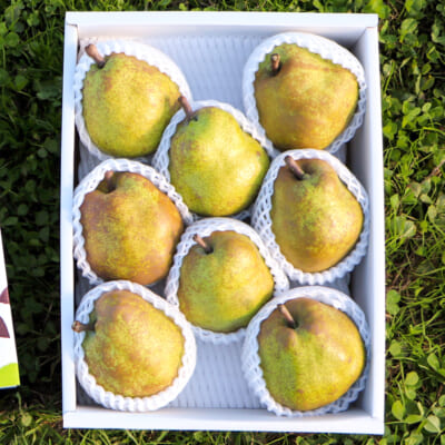 【贈答用】山形県産 ラ・フランス 2kg