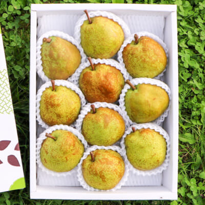 【贈答用】山形県産 ラ・フランス 3kg