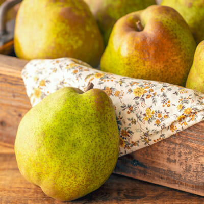 予約注文：山形県産 ラ・フランス（贈答用・家庭用）