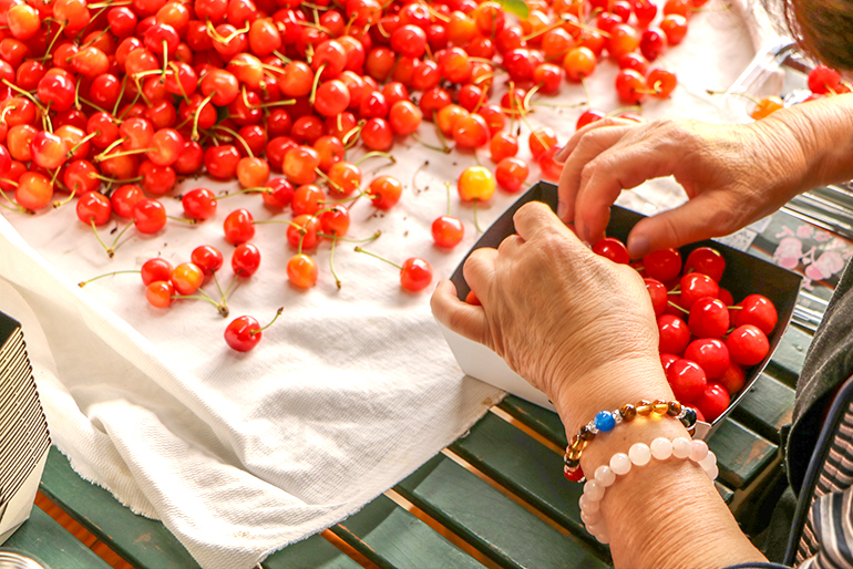 東根市の恵みがぎゅっと詰まった「さくらんぼ」