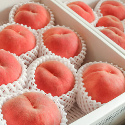 鮮やかな桃色に色付いた、愛らしい「白桃」